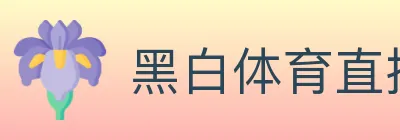 黑白体育直播 logo
